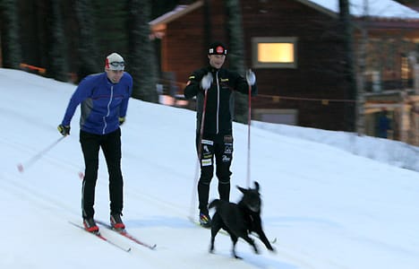 Södergren och Alsgaard har en camp ihop