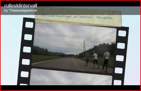 Det norska landslaget i Rullskidor