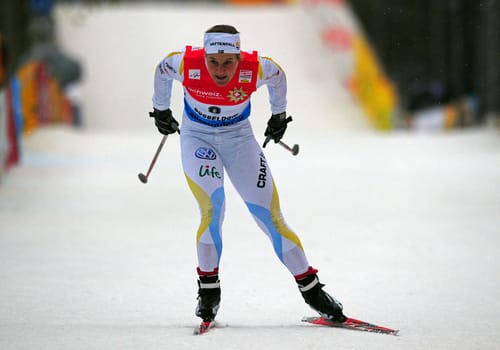 Falken flyger vidare till Davos