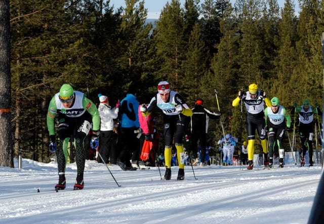Drickalangning, Brinks Vasalopps-team bakom kulisserna