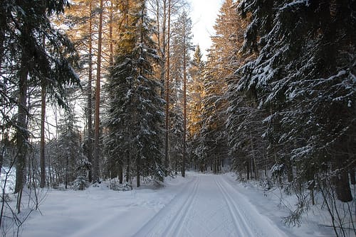 Truppen till Skandinaviska cupen i Voukatti