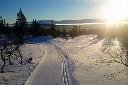 Årefjällsloppet ej i fara!