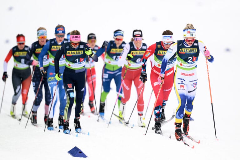 Storfavoriten Sverige tog stafettbrons