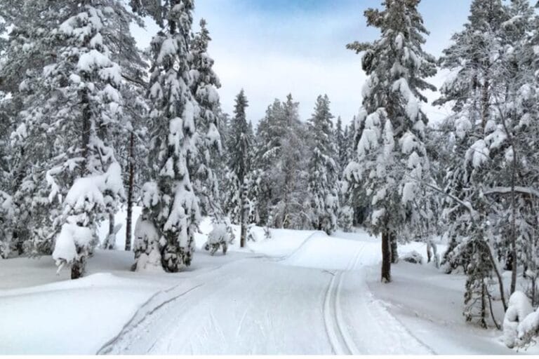Fina förutsättningar för skidpropaganda vid Sundsvall Skiweekend