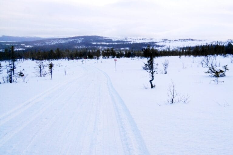 Bästa snöläget någonsin för Årefjällsloppet