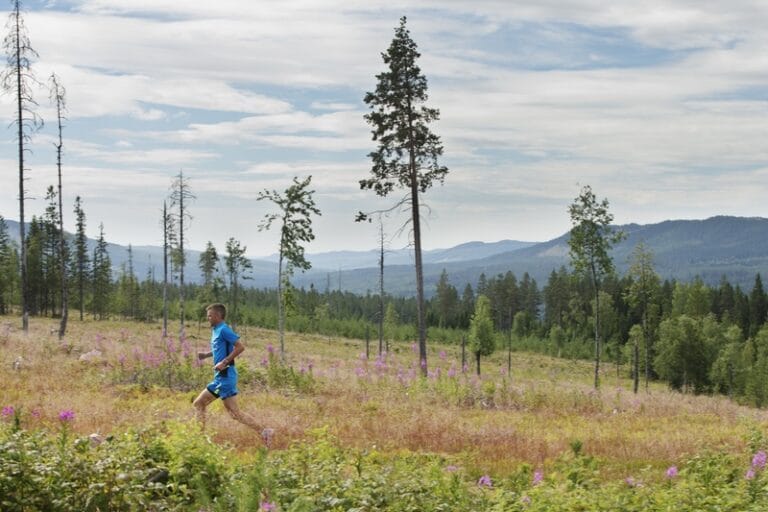 ASICS blir sponsor och värd för UltraVasan 2014