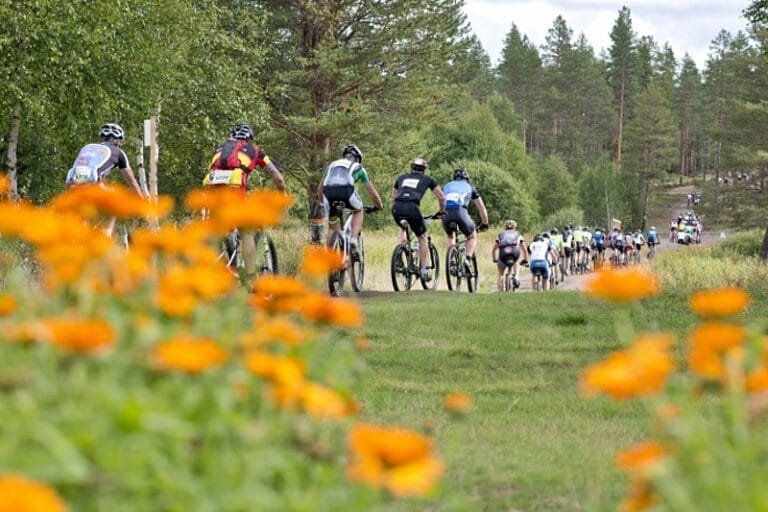 Vasaloppets sommarvecka – större än någonsin