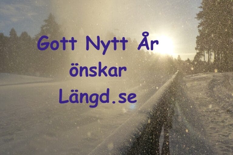 Gott Nytt År!