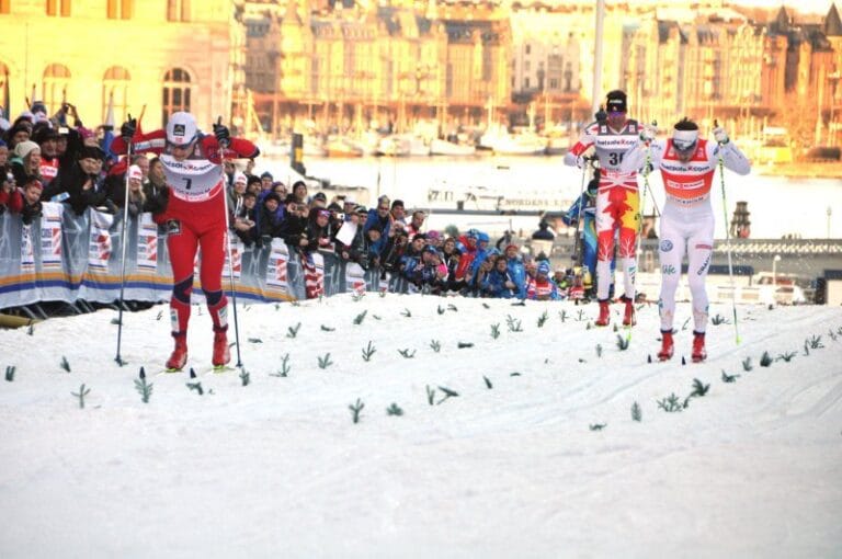 Stomprogrammet frö 2012-2013 klart