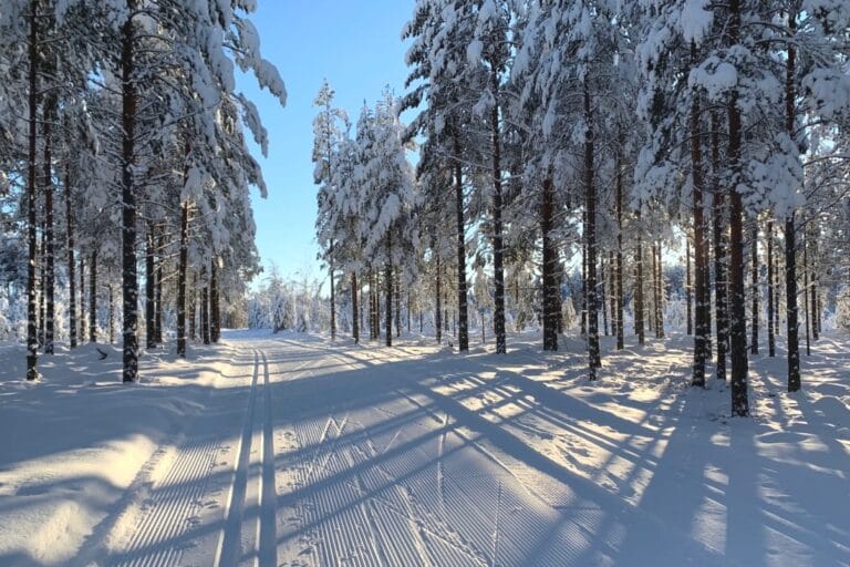 Vinter i Vasaloppsarenan – redo för Vasaåket 2021