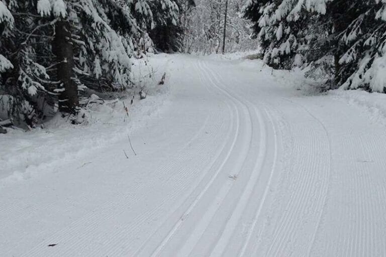 Nyspårat i Åre Björnen!