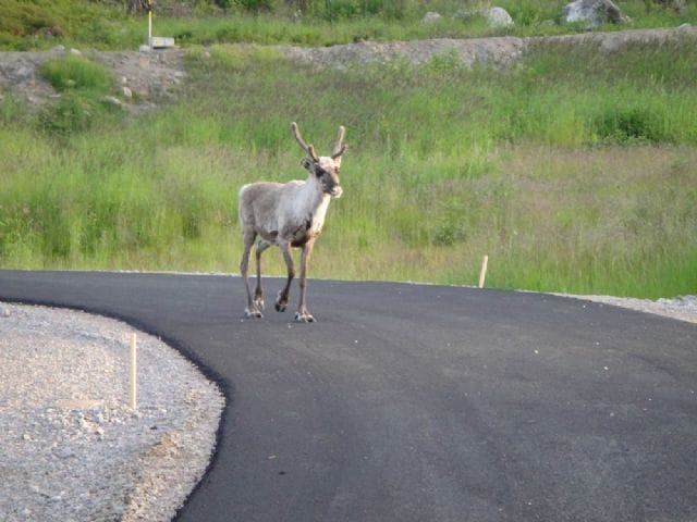 Piteå satsar på träningscentrum vid Lindbäckstadion