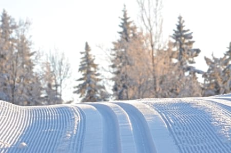 800 meter spår i Ånnaboda