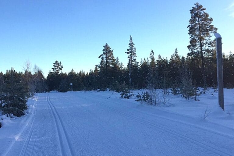 Perfekta förhållanden för Moraloppet