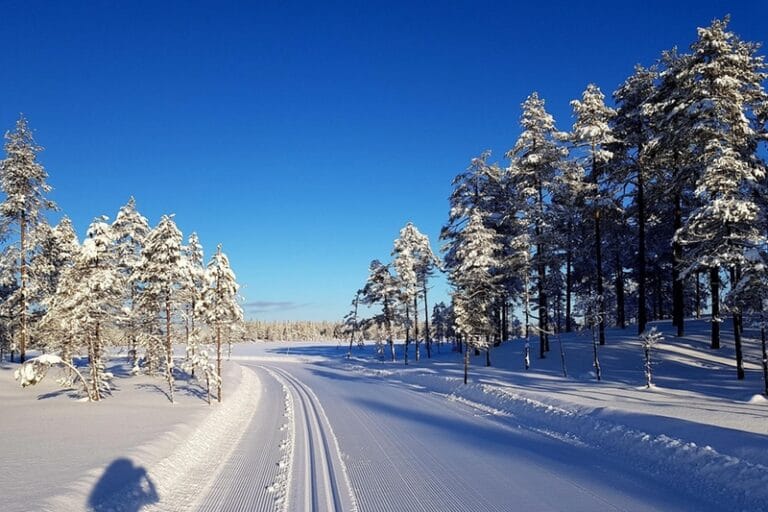 Fantastiska förhållanden inför 88:e Skinnarloppet