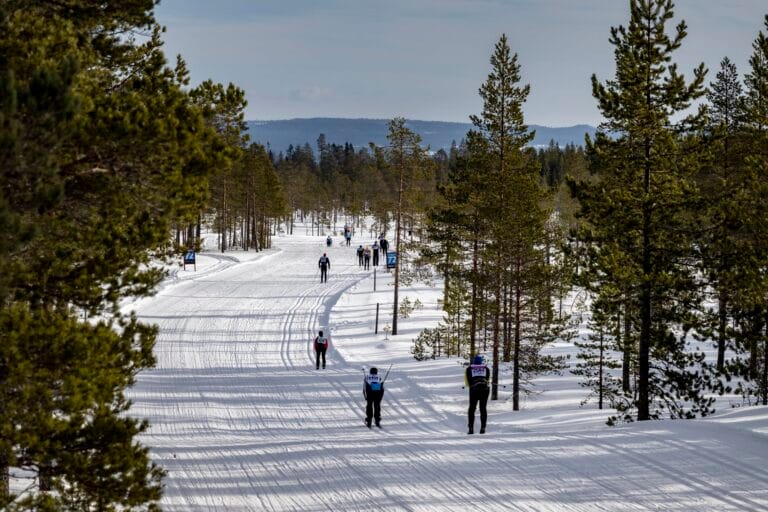 Summering av Vasaloppets vintervecka 2022