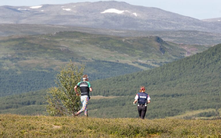 Ärla och Åsarna i topp i Fjällorienteringen