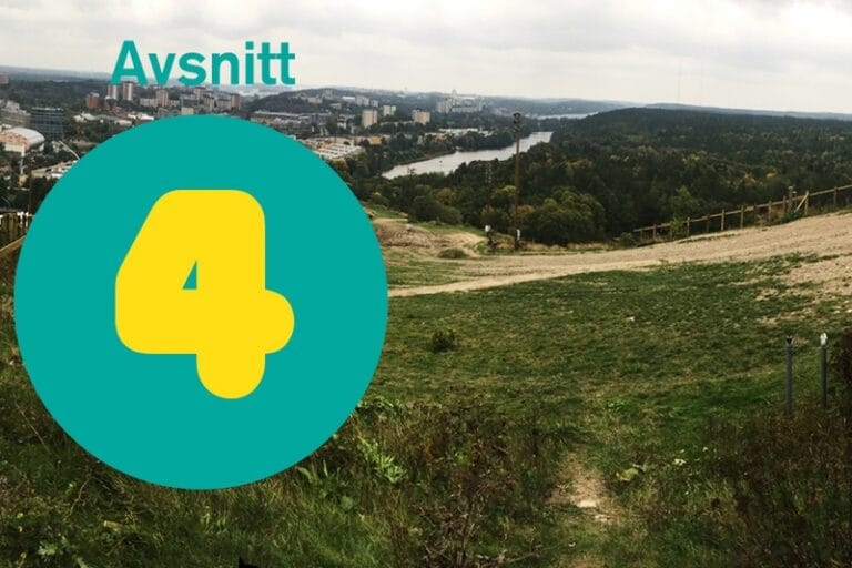 Skidgång i Vasaloppet Lagom