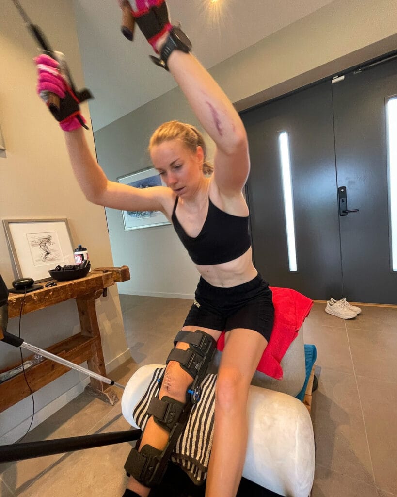 anikken gjerde alnæs