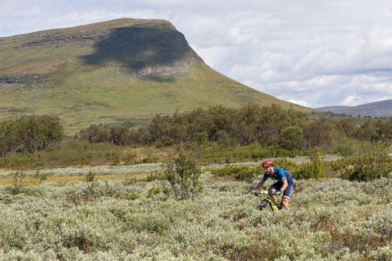 Flera skidstjärnor deltar i Fjällturen