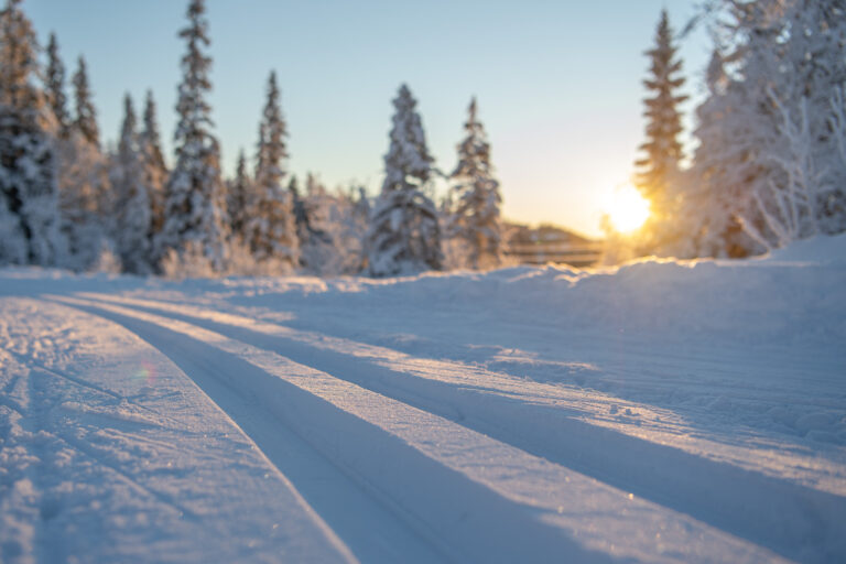 Var finns skidspåren? Tipsa oss om var det går att åka skidor just nu!