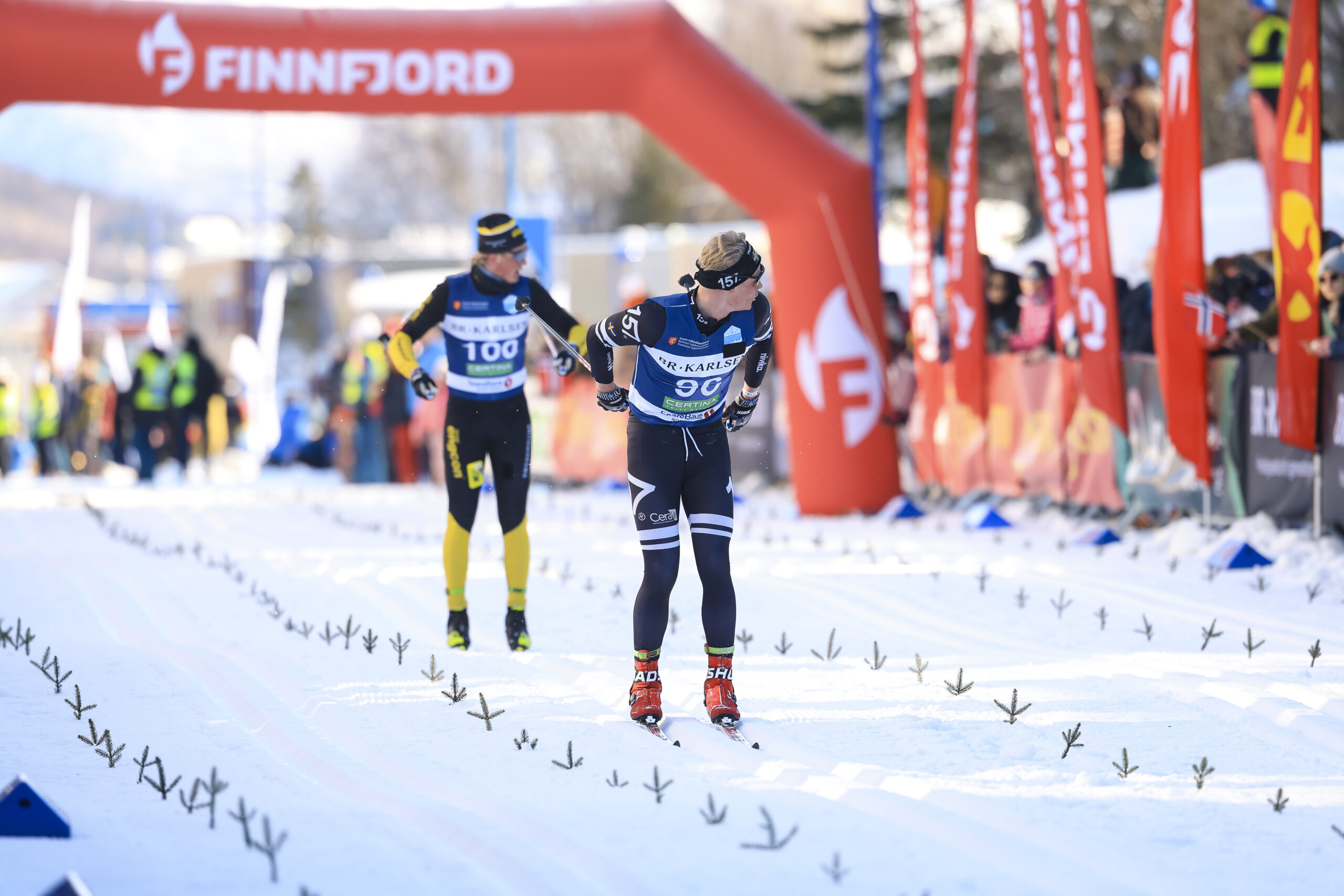 Direkt från OS till Trysil – Myhlback laddar om inför Vasaloppet - Langd.se