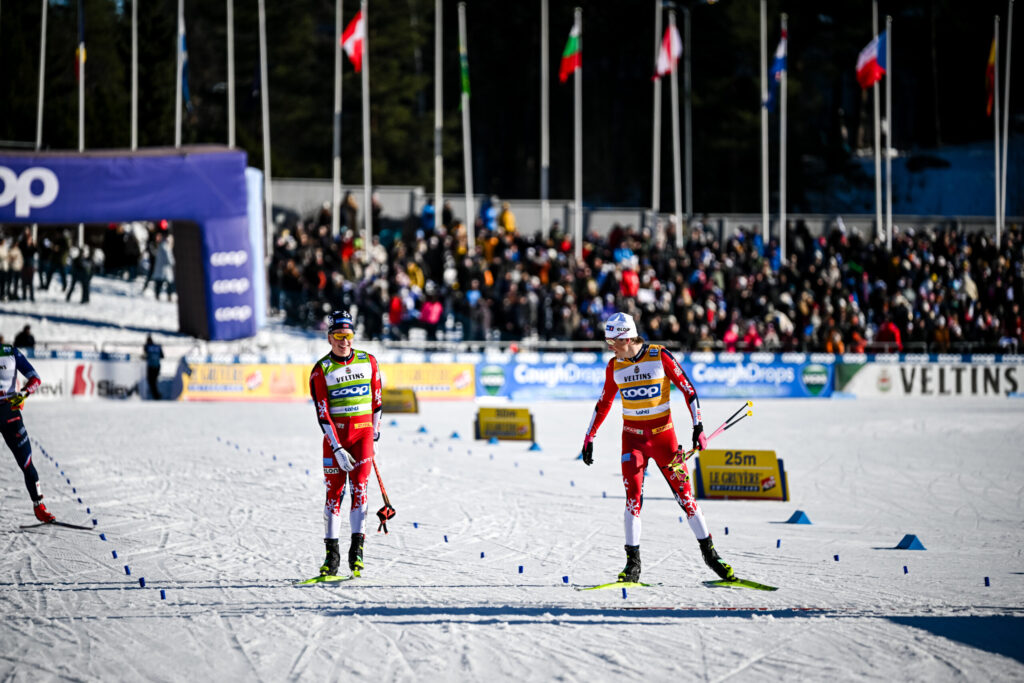 Authamayou/NordicFocus