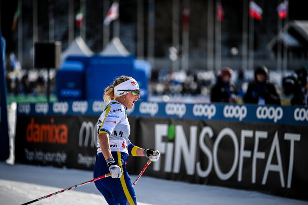 Authamayou/NordicFocus