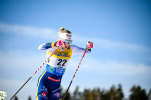 Authamayou/NordicFocus