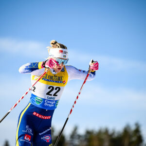 Authamayou/NordicFocus